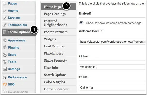 Fremont theme options