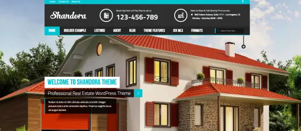 Shandora WordPress website theme