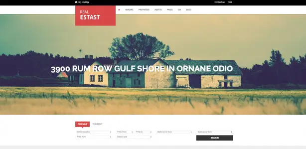 RealEstast WordPress website theme